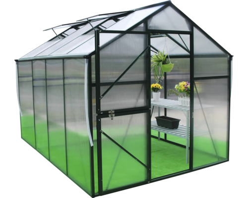 Seră cu ușă și luminatoare deschise, inclusiv raft și plante