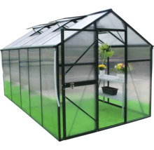 Seră cu rafturi și plante