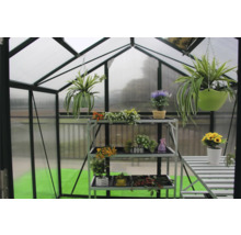 Seră cu rafturi și diverse plante