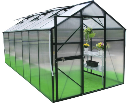 Seră cu ușă și luminatoare deschise