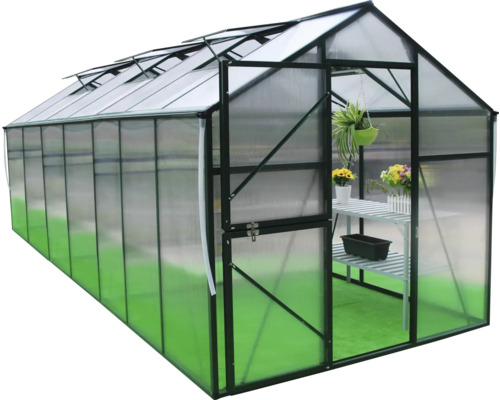 Seră cu ușă deschisă, raft și plante