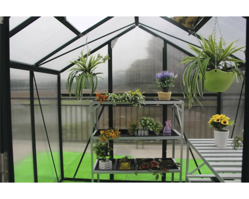 Seră cu raft pentru plante și decorațiuni