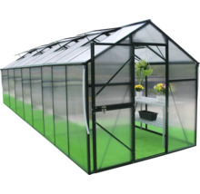 Seră cu rafturi și plante