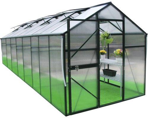 Seră cu rafturi și plante