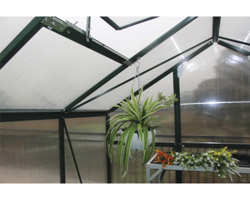 Interiorul unei sere cu plante în ghivece