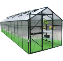 Seră cu ușă deschisă și raft pentru plante