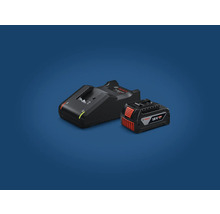 Încărcător Bosch cu acumulator de 18 volți