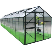 Seră cu ușa deschisă și raft pentru plante