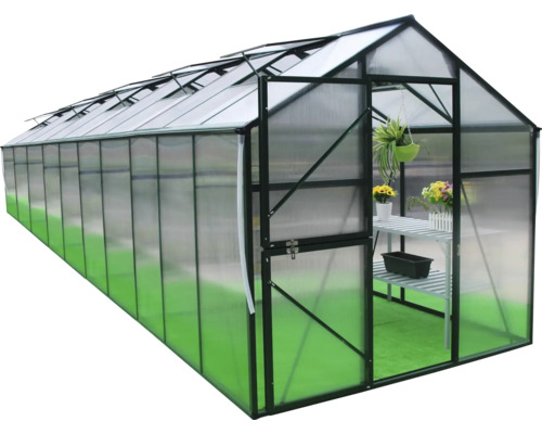 Seră cu ușa deschisă și raft pentru plante