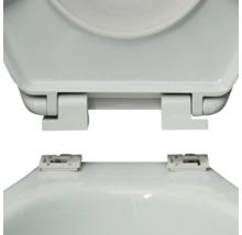 Detalii de fixare a capacului de toaletă