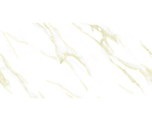 Gresie exterior / interior porțelanată glazurată rectificată Wavy Snow Endless 60x120 cm pac