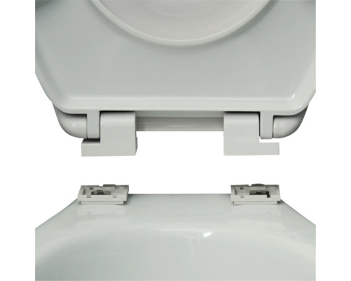 Imagine detaliată cu un capac de toaletă cu fixare