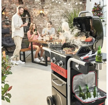 Scenă cu grătar pe cărbune și un grup de oameni afară care stau de vorbă