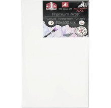 Șasiu de pânză cu dimensiunile 50x100 cm