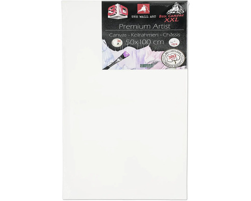 Șasiu de pânză cu dimensiunile 50x100 cm