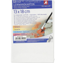 Pânză pe carton 13 x 18 cm, potrivită pentru tempera, guașă, culori acrilice și culori de ulei