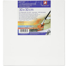 Carton cu pânză, 30 x 30 cm, potrivit pentru tempera, guașă, vopsele acrilice și vopsele pe ulei