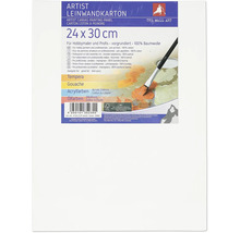Pânză pe carton The Wall Art, 24 x 30 cm, potrivită pentru tempera, guașă, culori acrilice și culori de ulei