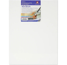Carton pânză, 40x50 cm, potrivit pentru pictori amatori și profesioniști, pre-amorsat, 100% bumbac