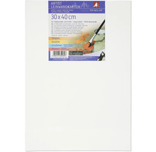 Pânză de artist 30 x 40 centimetri