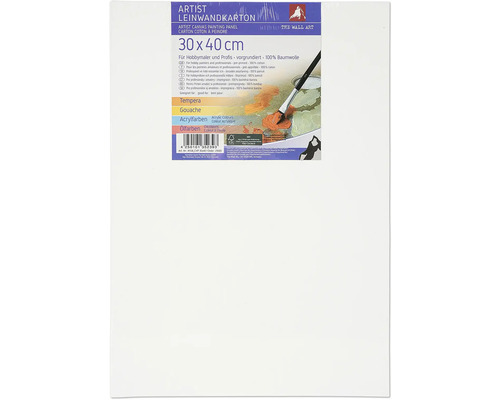 Pânză de artist 30 x 40 centimetri