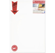 Set pânze pictură 50x70, 40x50 și 30x40 centimetri