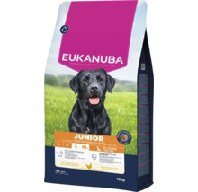 Hrană uscată pentru câini juniori Eukanuba pentru rase mari de la 25 la peste 40 de kilograme în ambalaj de 15 kilograme