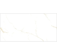 Model de faianță cu aspect de marmură