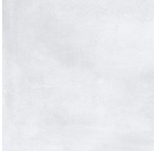 Placă de gresie deschisă la culoare, texturată