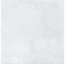 Placă de podea deschisă la culoare cu suprafață mată