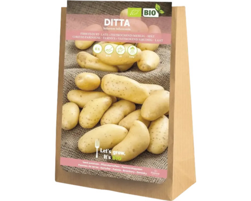 Cartofi de sămânță Ditta în sac de cinci kilograme