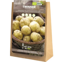 Cartofi de sămânță Twinner, fermi, 5 kilograme