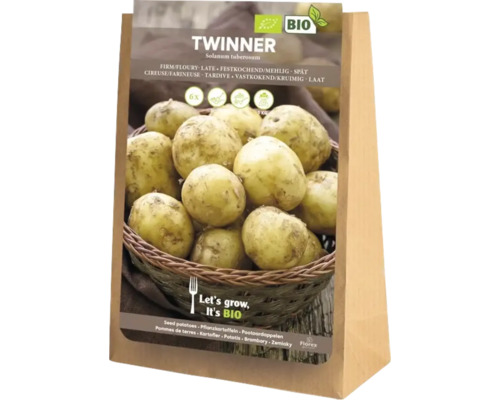 Cartofi de sămânță Twinner, fermi, 5 kilograme