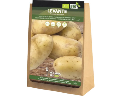 Ambalaj cartofi de sămânță din soiul Levante
