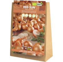 Bulbi de flori de șalote roșii într-o pungă de hârtie