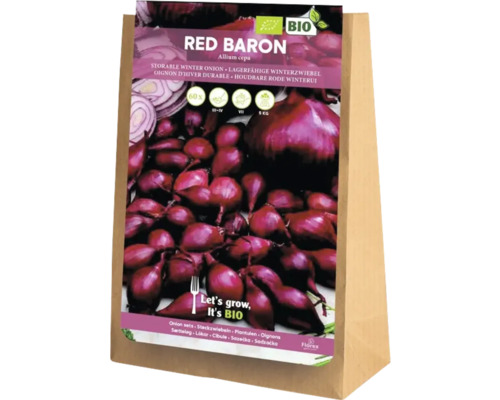 Răsaduri de ceapă de iarnă Red Baron într-o pungă de hârtie