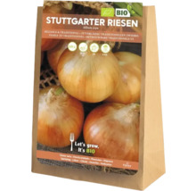 Arpagic Stuttgarter Riesen într-o pungă de hârtie