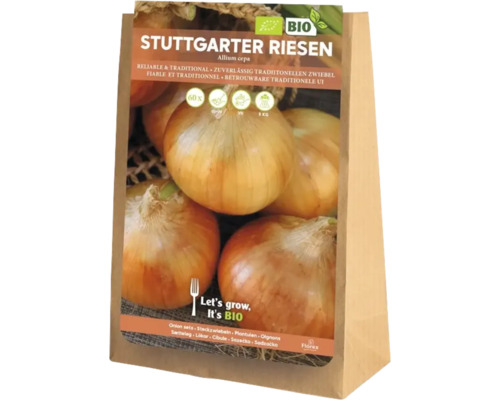 Arpagic Stuttgarter Riesen într-o pungă de hârtie