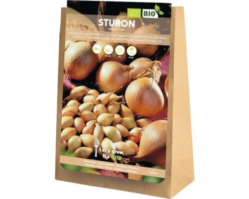 Pachet de arpagic Sturon