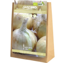 Arpagic Santero, certificat biologic, pachet de 60 bucăți