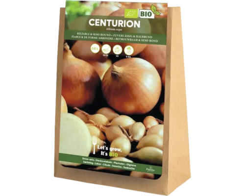 Pachet de ceapă Centurion, Allium cepa, calitate ecologică