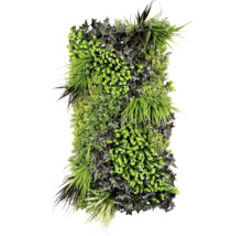Perete artificial de plante cu diferite tipuri de plante