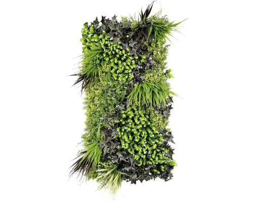 Perete artificial de plante cu diferite tipuri de plante