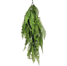 Plantă suspendată ferigă pentru decor