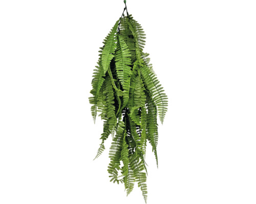 Plantă suspendată ferigă pentru decor