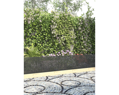 Paravan cu plante cățărătoare în grădină