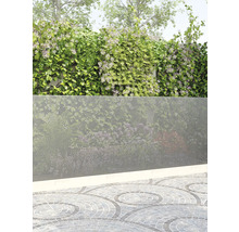 Pergolă cu plante cățărătoare și paravan metalic de confidențialitate