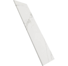 Placă de marmură albă