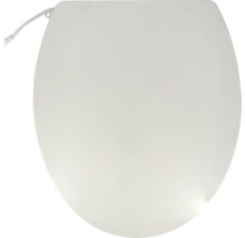 Capac WC cu funcție electronică