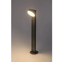 Lumină de grădină cu iluminare LED pentru exterior